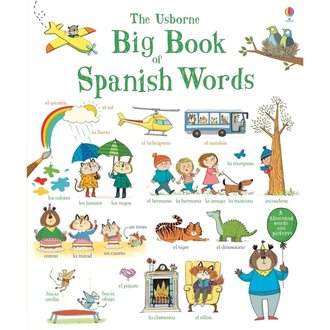 Usborne Books The Usborne Big Book of Spanish Words