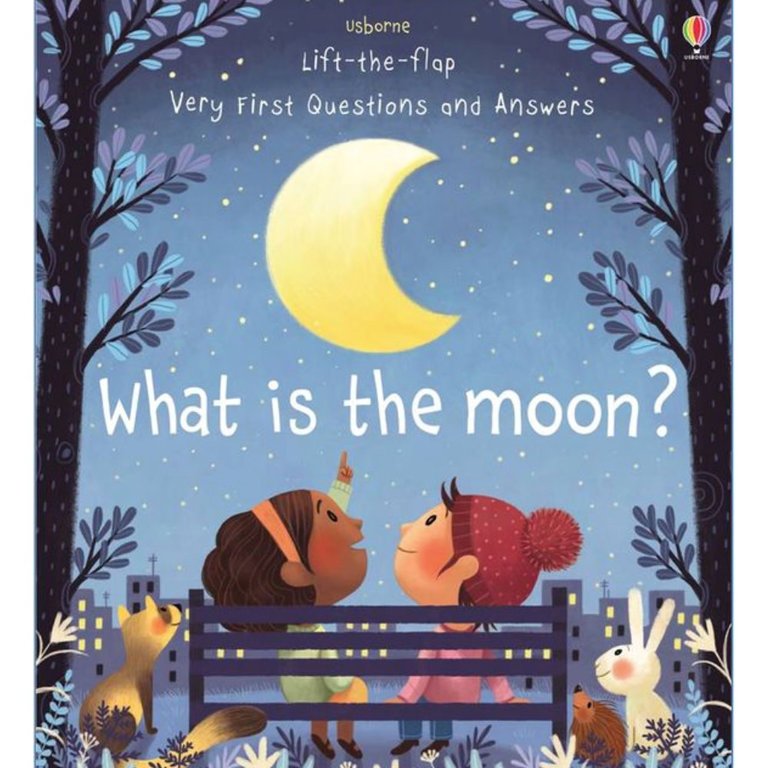 Usborne Books What is the Moon? Very First Lift the Flap