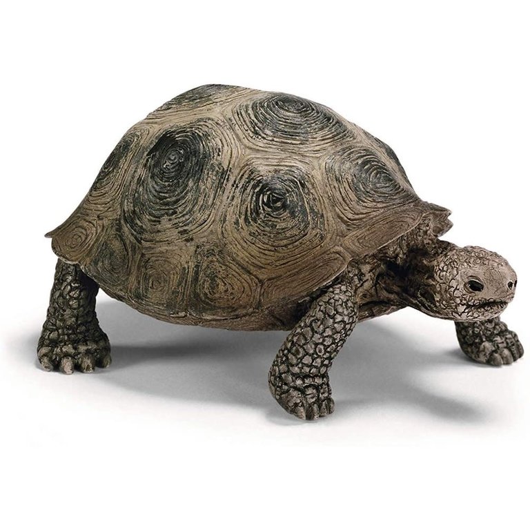 Schleich Giant Tortoise 14824