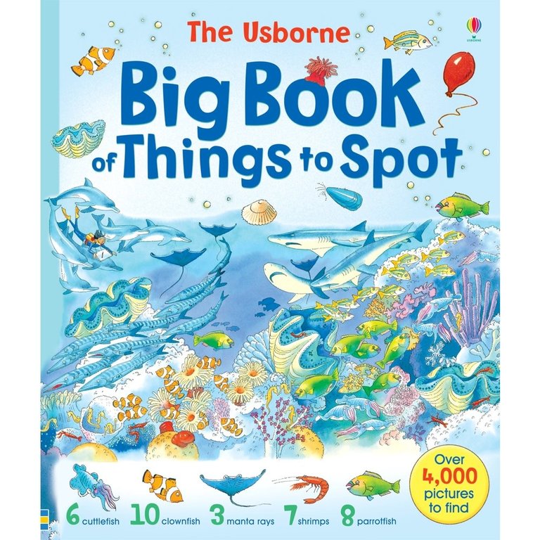 Usborne Books The Usborne Big Book Of Things To Spot