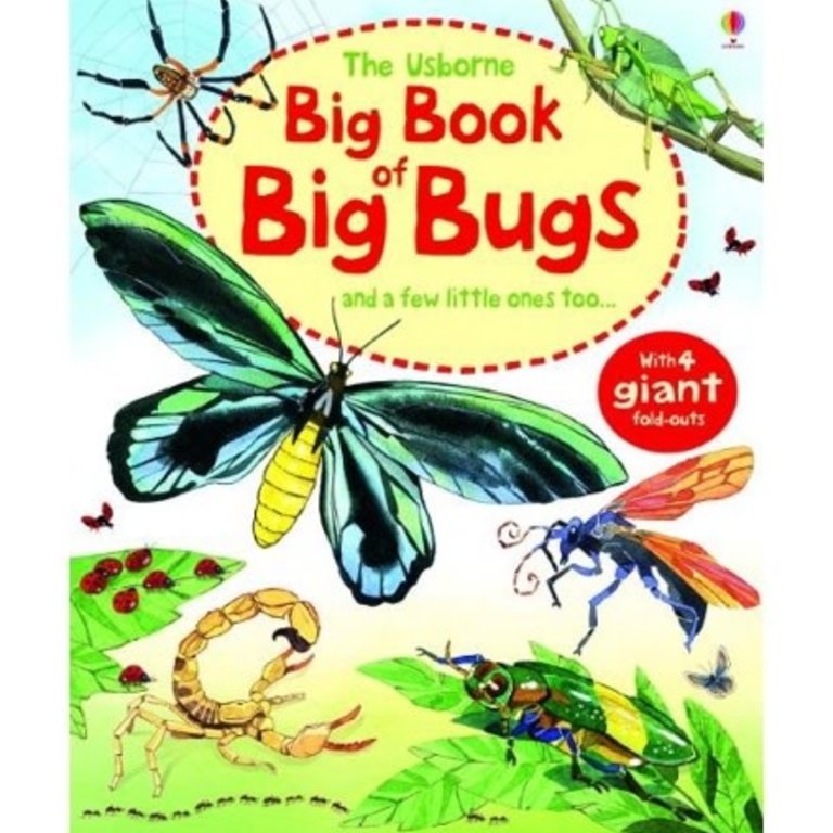 Usborne Books Big Book of Big Bugs