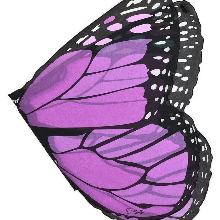 Douglas Butterfly Wings