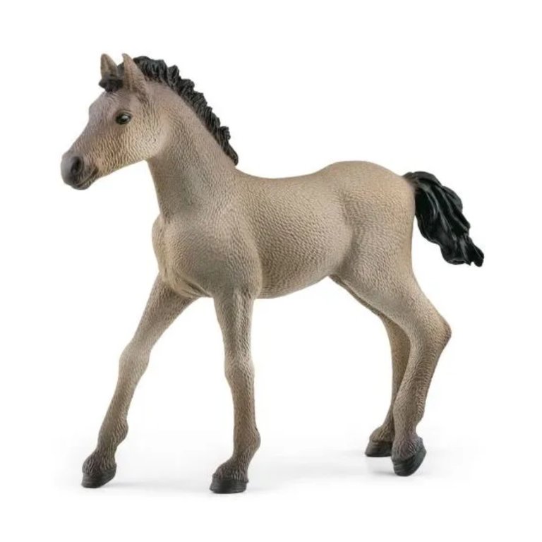 Schleich Criollo Definitivo Foal 13949