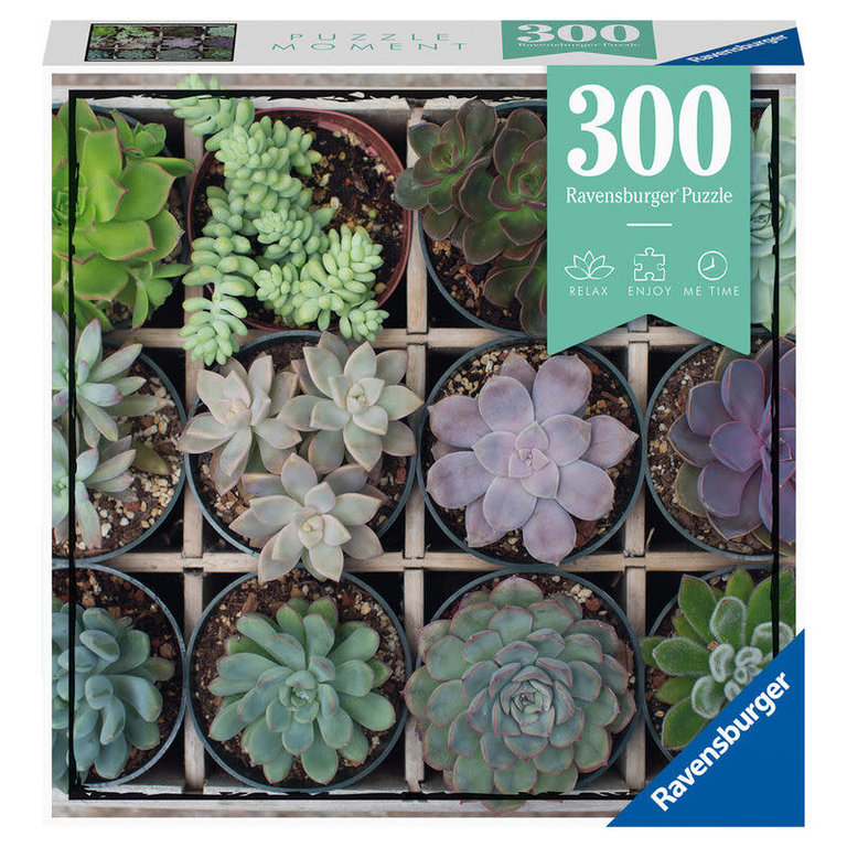 Ravensburger Green Succulent Puzzle Moment 300pc Jigsaw Puzzle