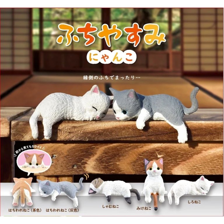 Resting Cat Blind Box