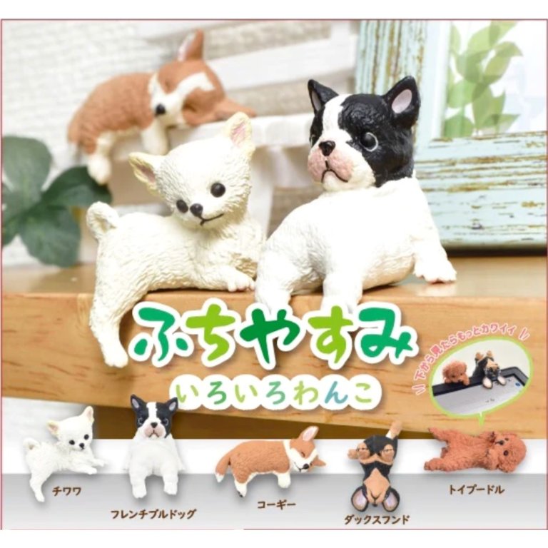 Playful Dog in Blindbox