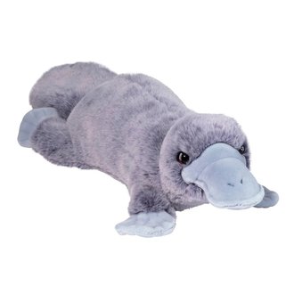Douglas Allie Platypus Soft