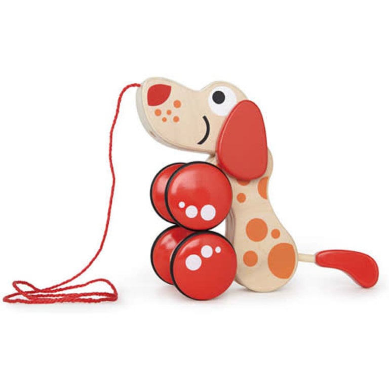 Walk Along Puppy, Pull Along Toy