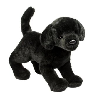 Douglas Chester Black Lab