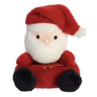 Aurora Palm Pals Santa