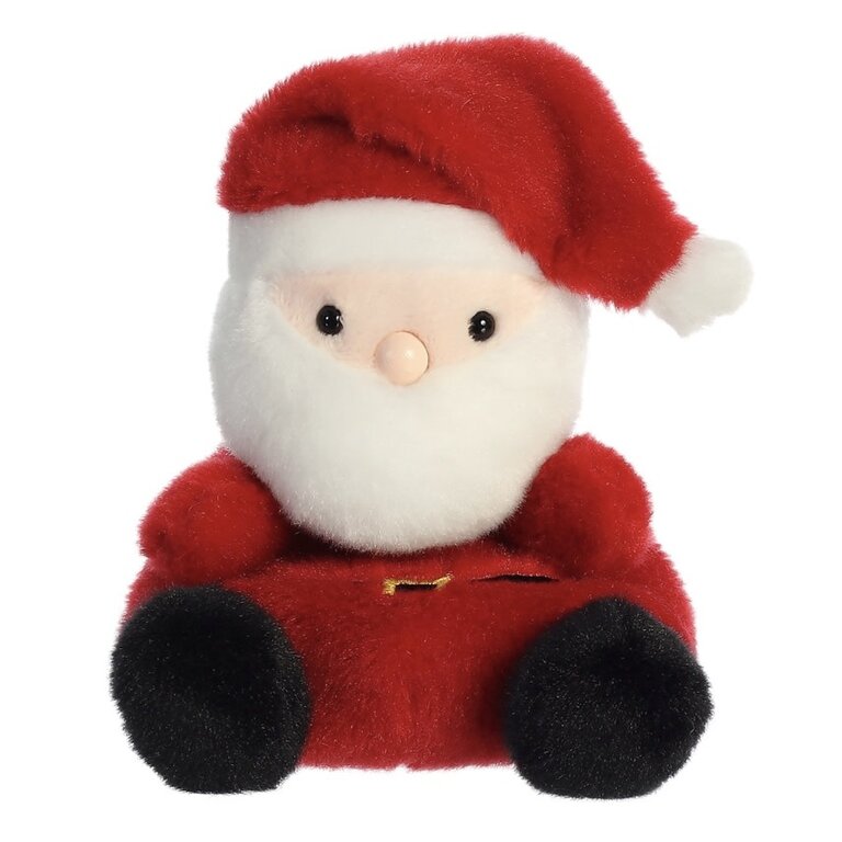 Aurora Palm Pals Santa