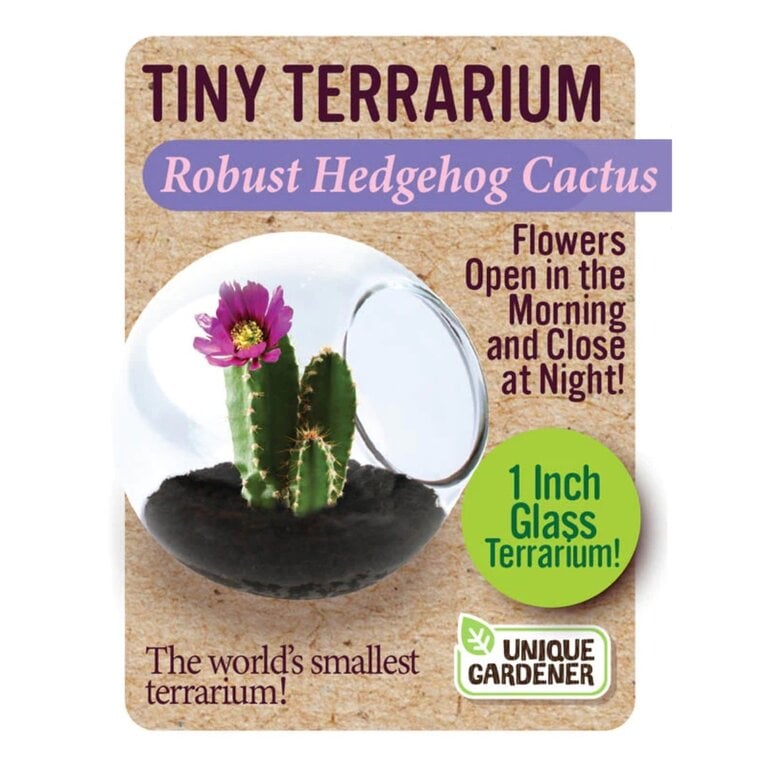 Tiny Terrariums