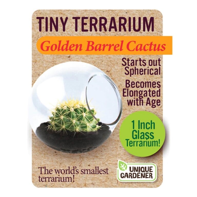 Tiny Terrariums