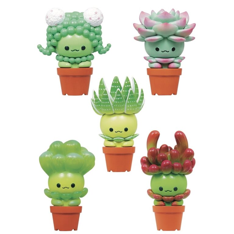 Succulent Friends Blind Box