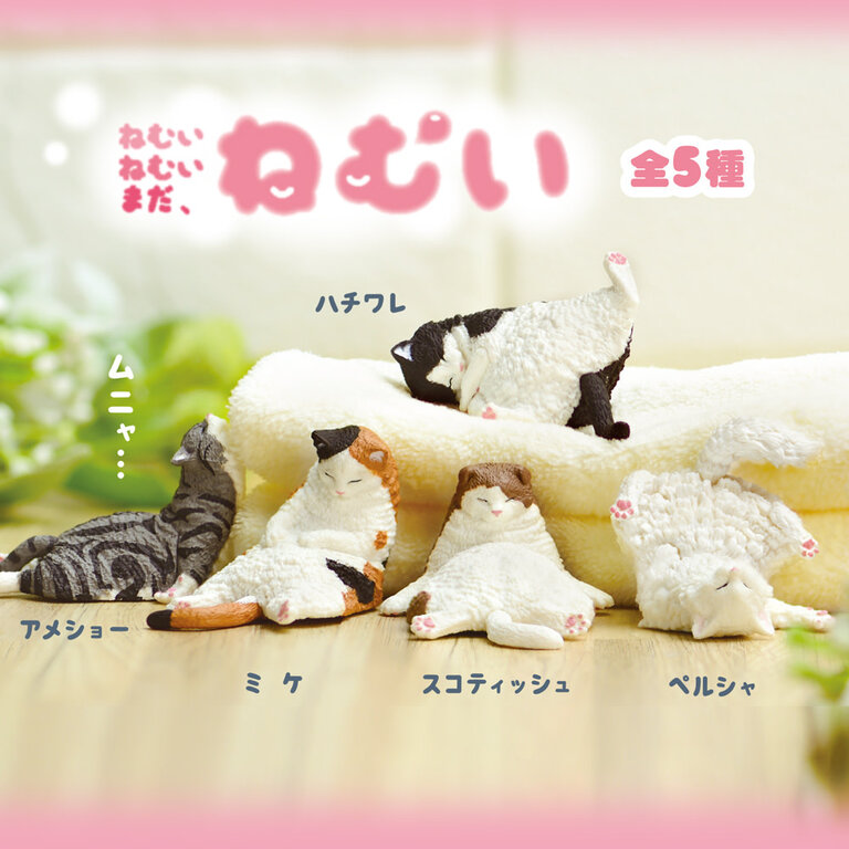 Sleepy Cat Blind Box