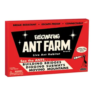 Ant Farm