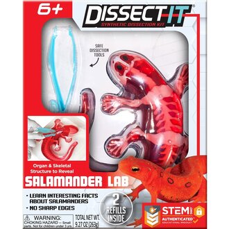 Dissect It Lab Salamander