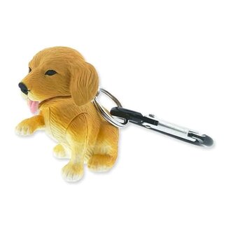 LifeLight Retriever Dog