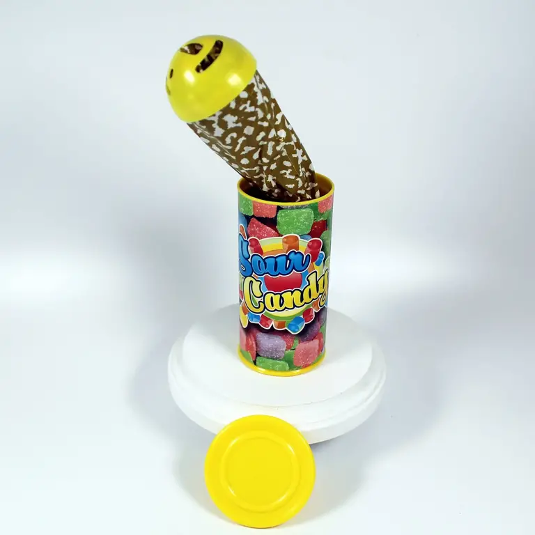 Candy Surprise Snake in Can