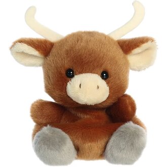 Aurora Palm Pals Landon Longhorn