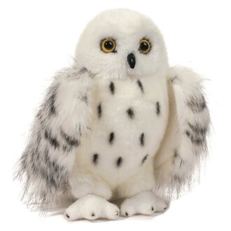 Douglas Wizard Snowy Owl
