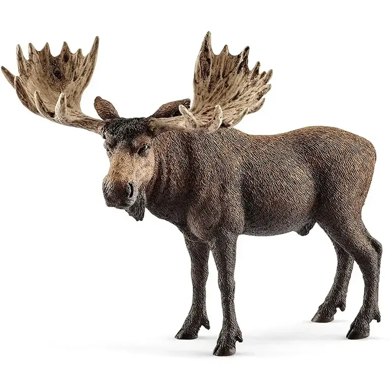 Schleich Moose Bull 14781