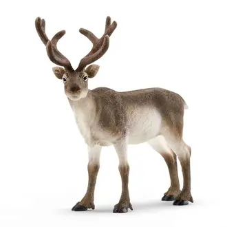 Schleich Reindeer 14837