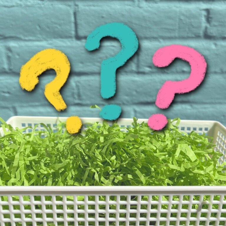 Custom Easter Basket!