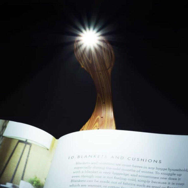 Flexilight Wood