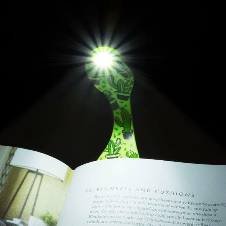 Flexilight Cactus