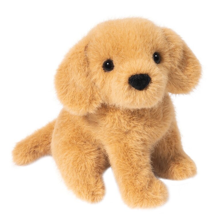 Douglas Mini Golden Retriever Sitting