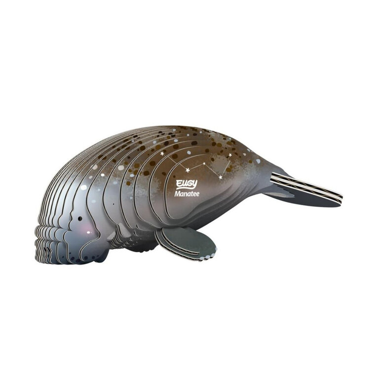Eugy Manatee