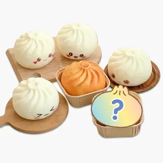 Find the Grilled Dumpling Squishy Blind Box