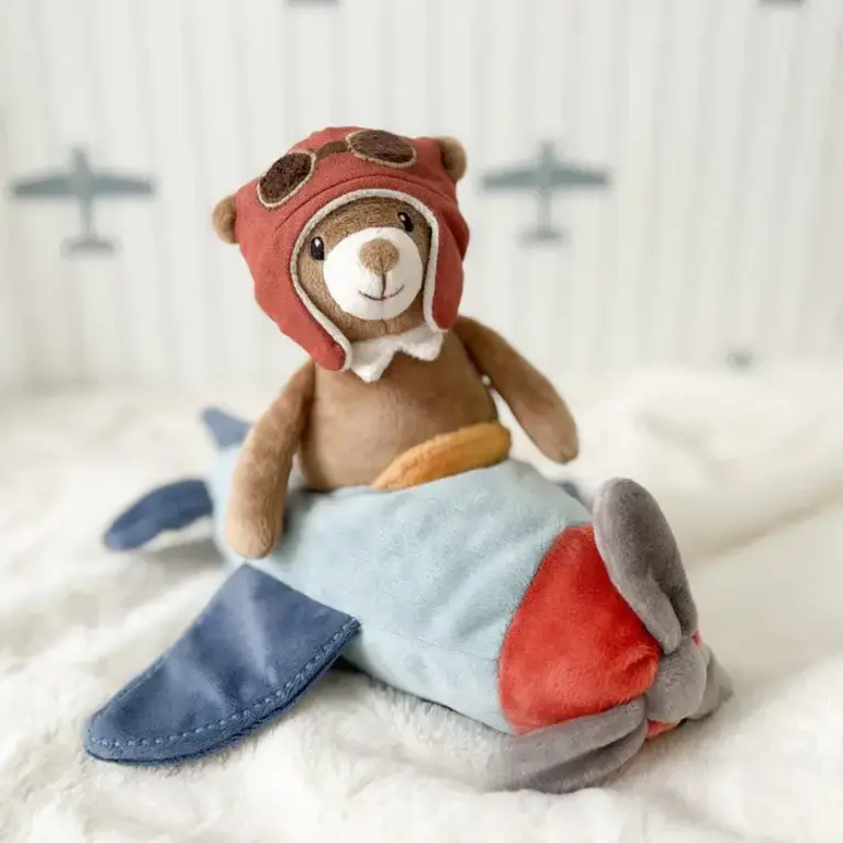 Mon Ami Pilot Bear and Plane
