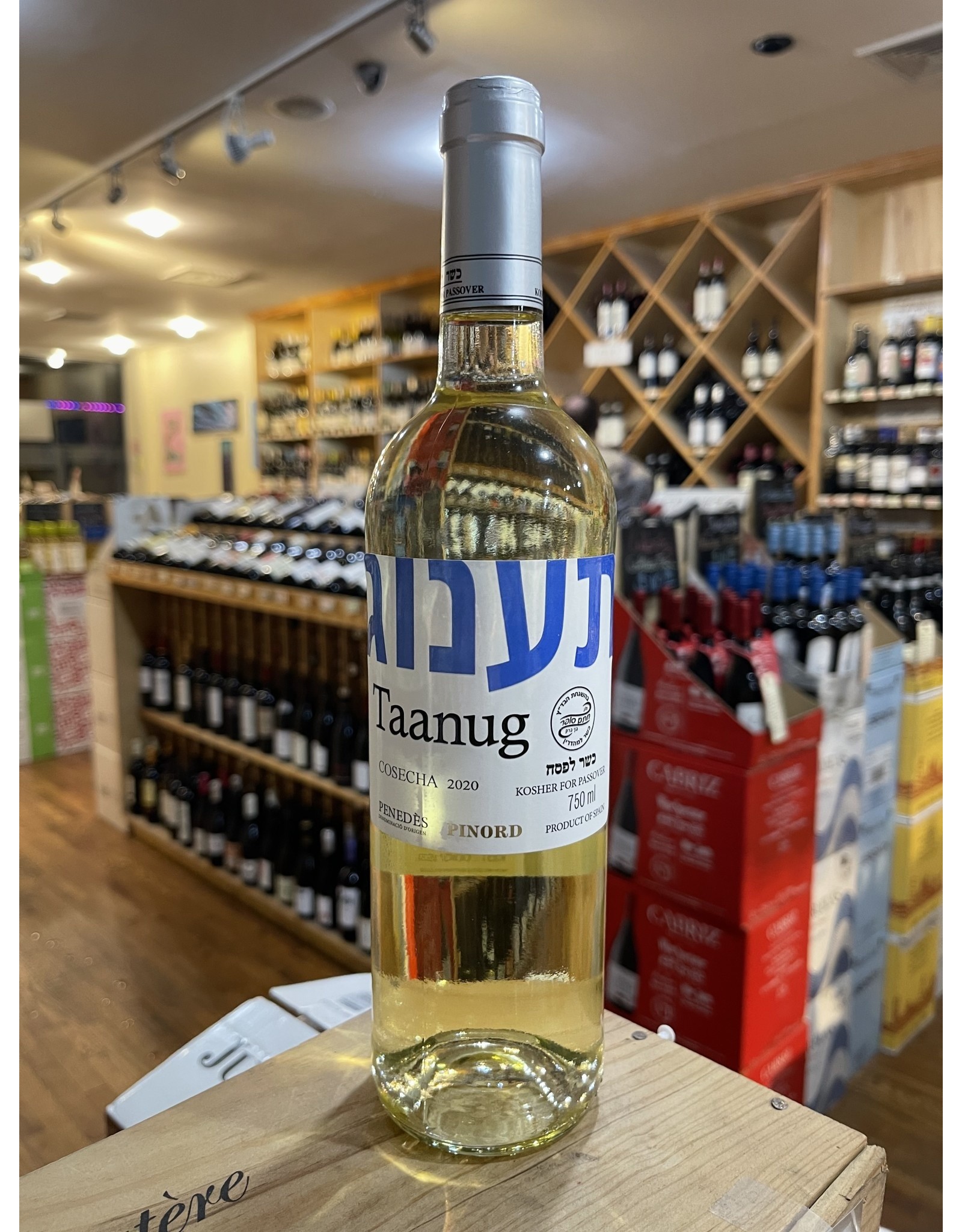 Spain Pinord Taanug White Blend