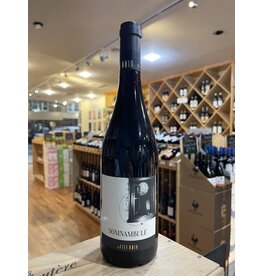 France Le Fief Noir Somnambule Grolleau/ Cabernet Franc