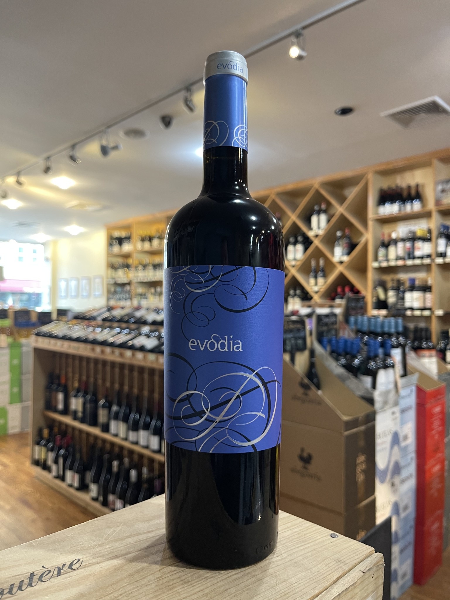 Evodia garnacha top