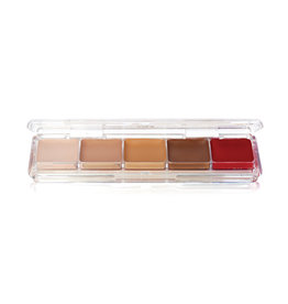 Ben Nye PALETTE-ALCOHOL CONCEALOR PALETTE-TATTOO COVER, 5 SHADES