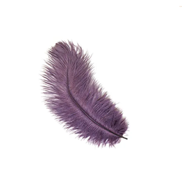 FEATHER-SINGLE OSTRICH 4-8" ASST I