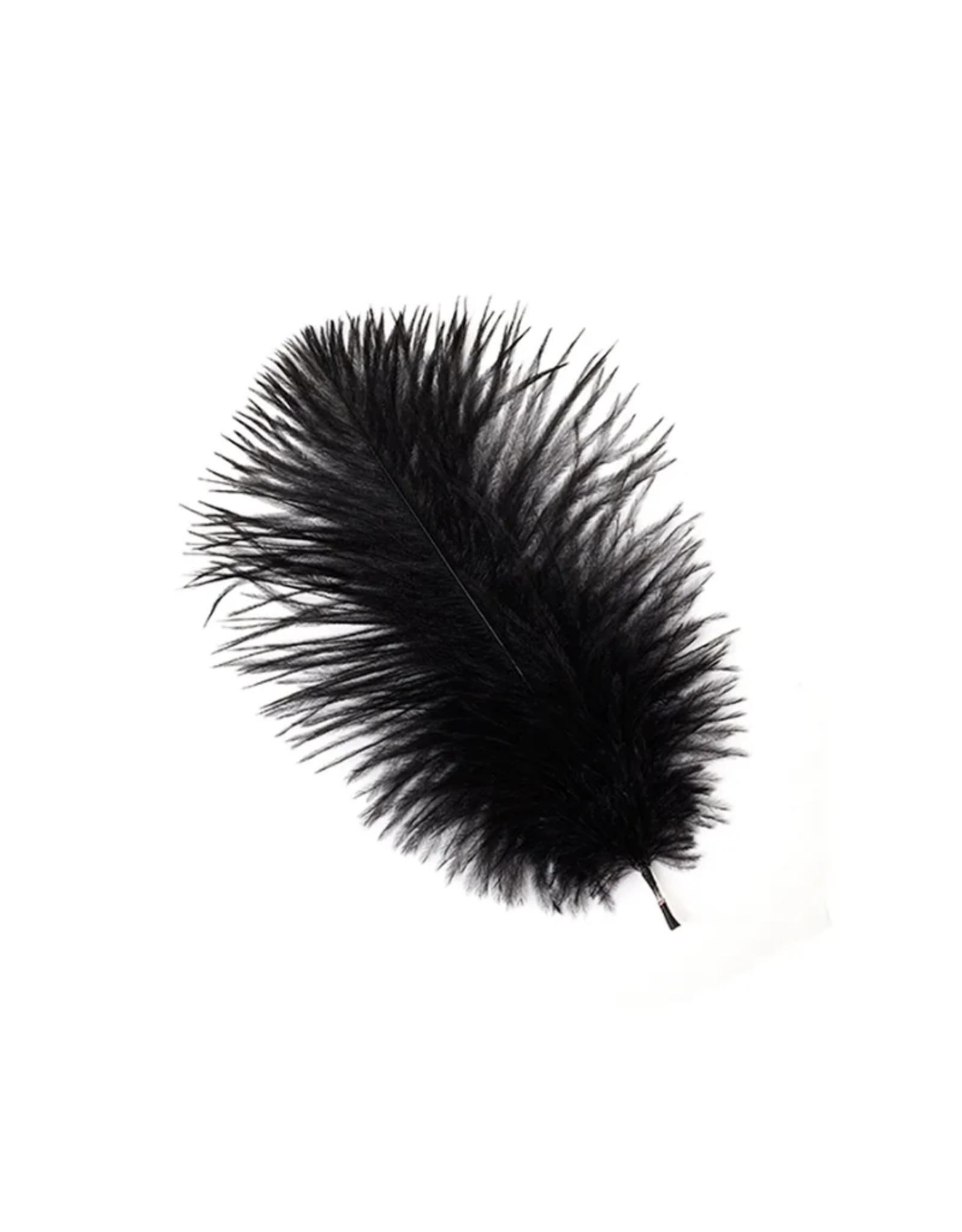 FEATHER-SINGLE OSTRICH 4-8" ASST I