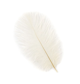 FEATHER-SINGLE OSTRICH 4-8", ASST II