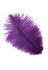 FEATHER-SINGLE OSTRICH 4-8", ASST II