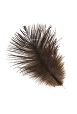 FEATHER-SINGLE OSTRICH 4-8", ASST II