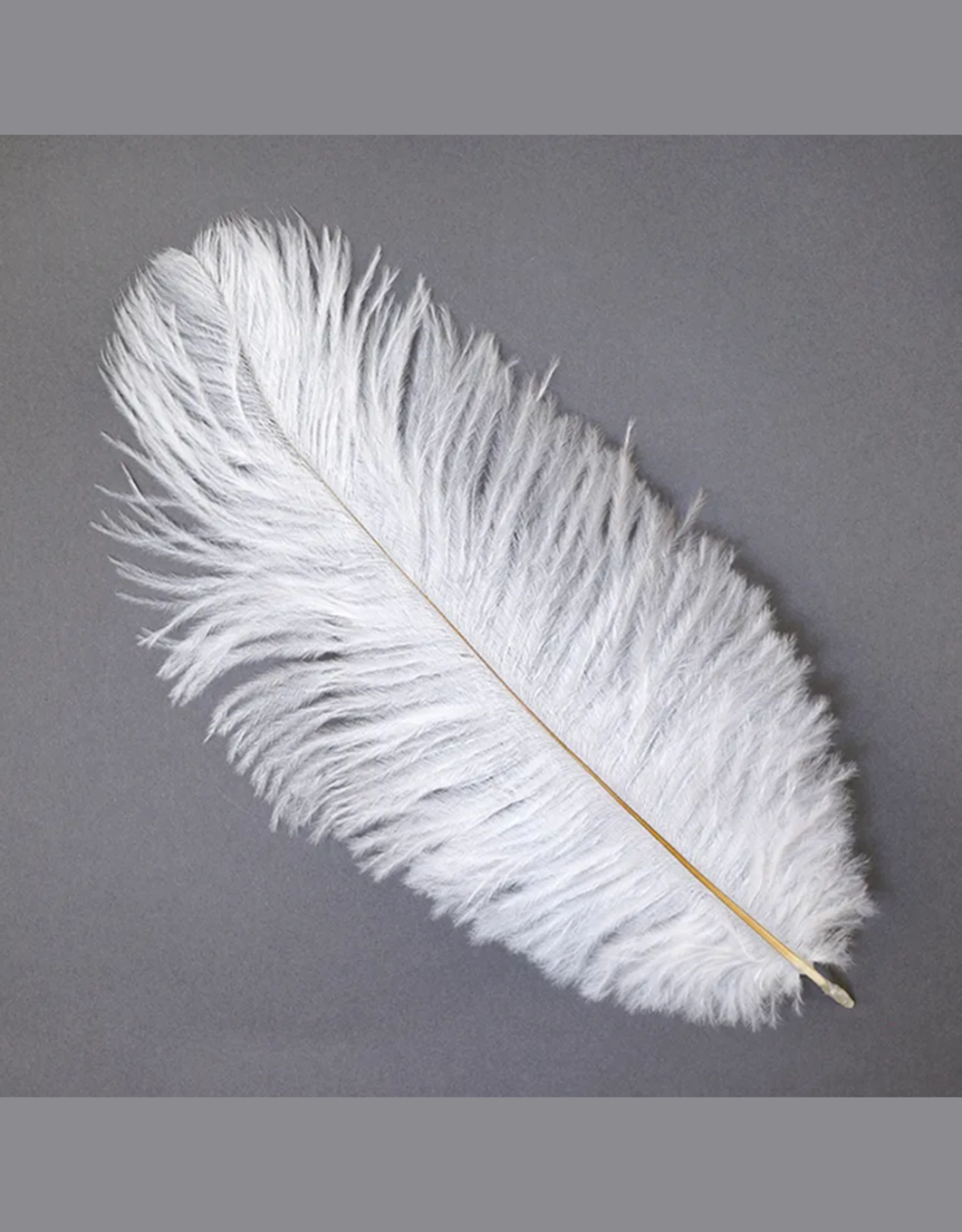 FEATHER-SINGLE OSTRICH, 9-12",