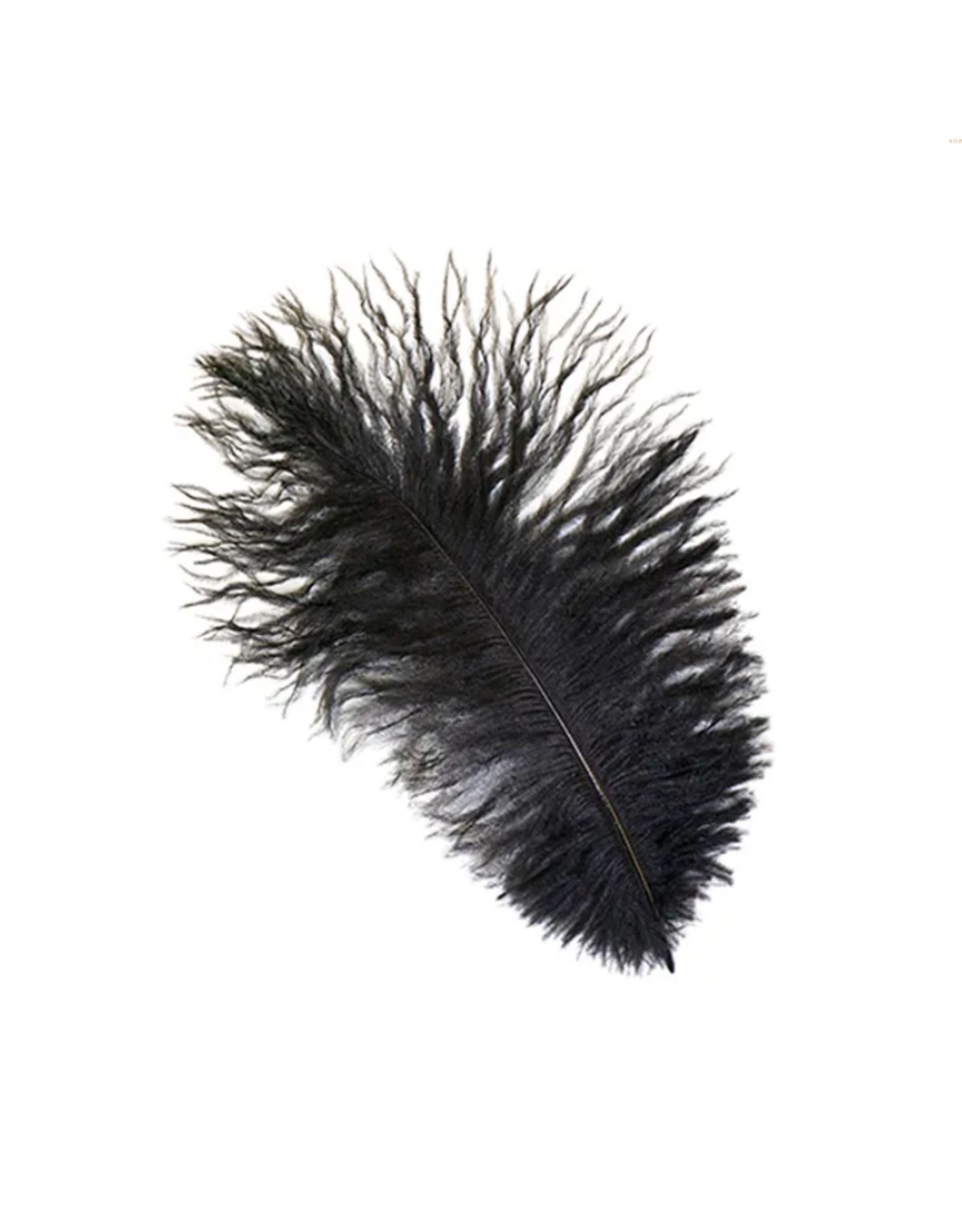 FEATHER-SINGLE OSTRICH, 9-12",