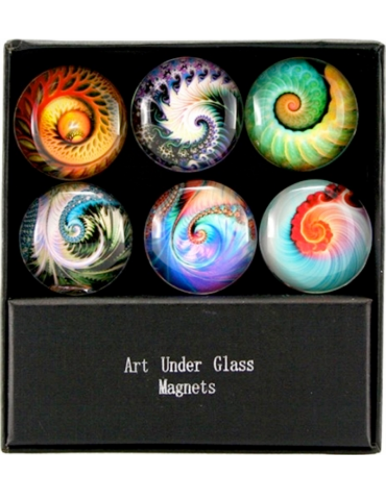 MAGNET SET-GLASS-NAUTILUS, 6PC