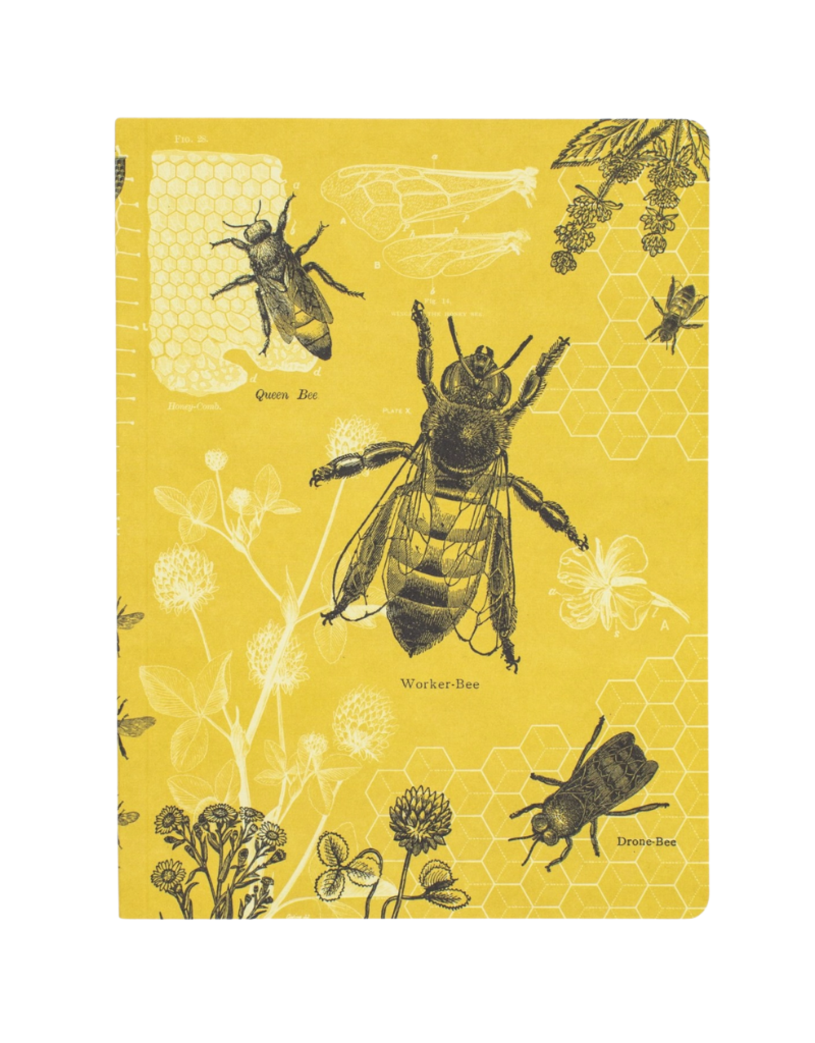 NOTEBOOK-BEES-LINED, SOFTCOVER