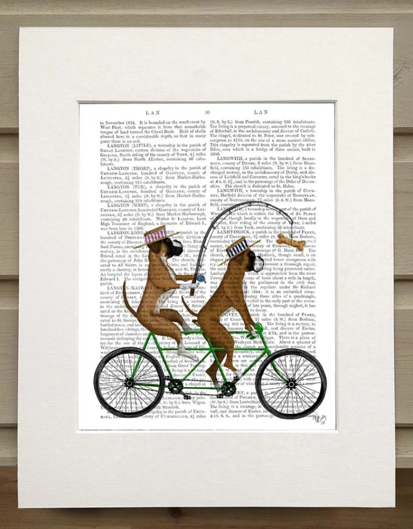 Faire/FabFunky LTD ART PRINT-ANIMAL ON PAGE, 11 X 14  (SET II)