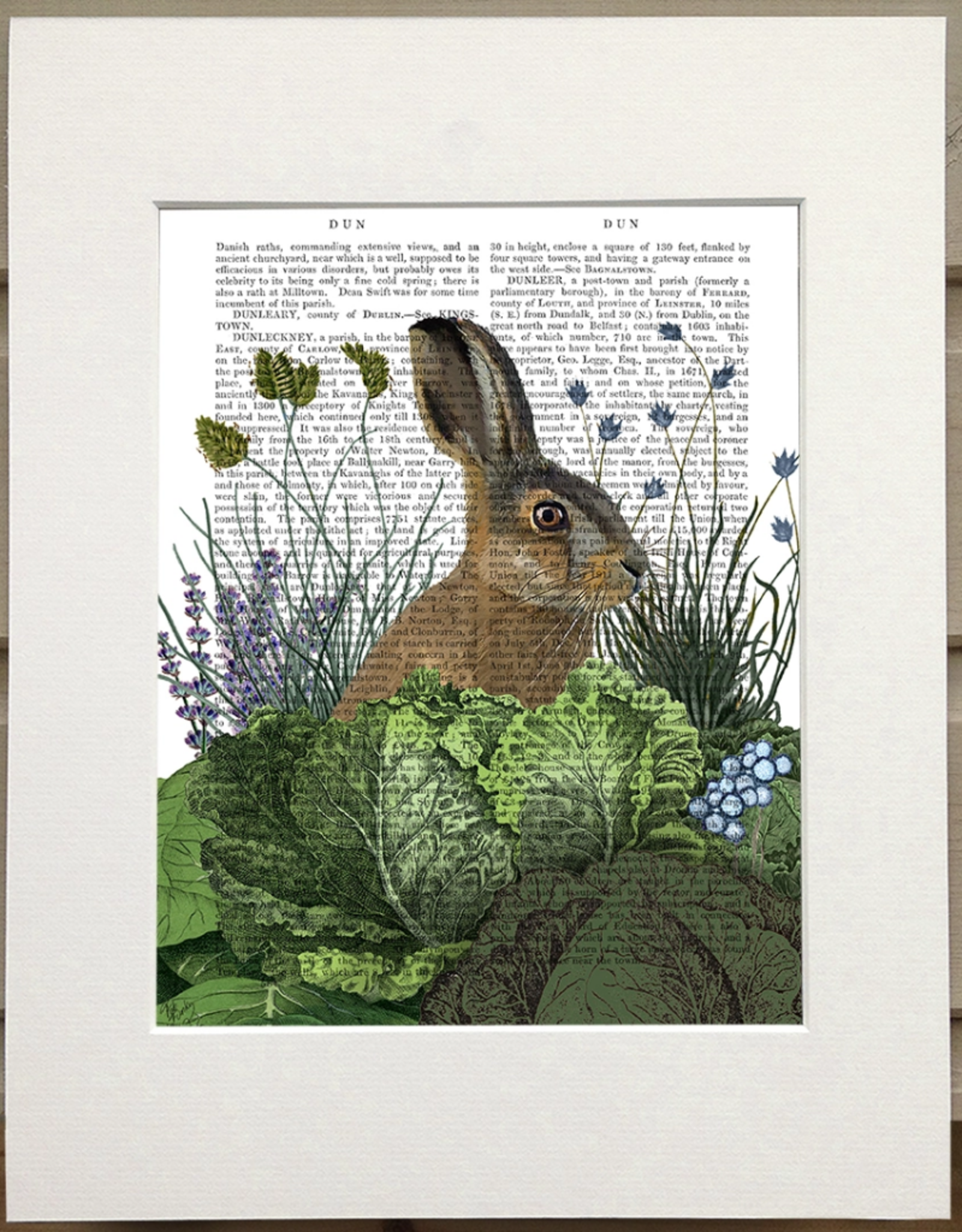 Faire/FabFunky LTD ART PRINT-ANIMAL ON PAGE, 11 X 14  (SET II)