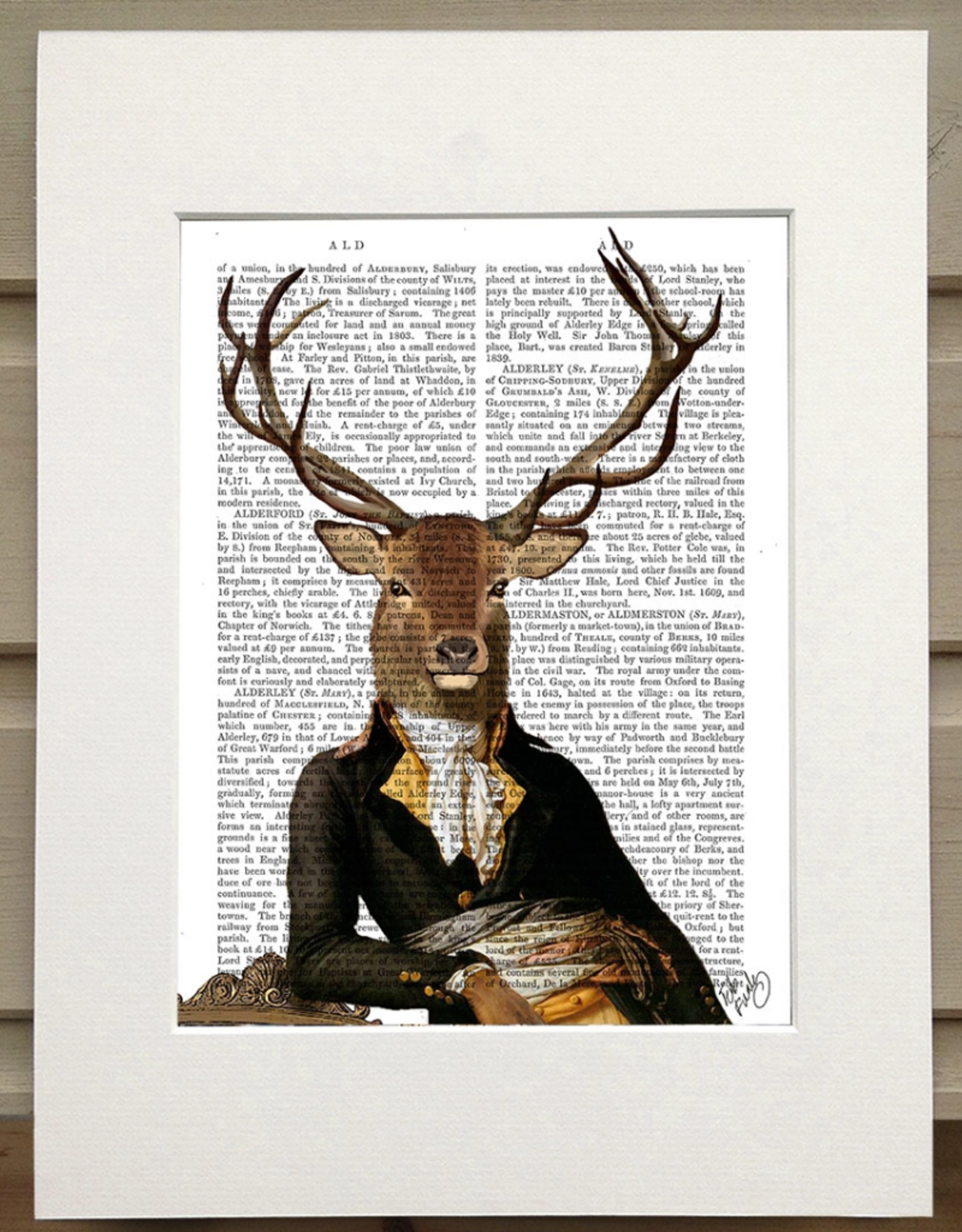 Faire/FabFunky LTD ART PRINT-ANIMAL ON PAGE 11 X 14  (SET I)